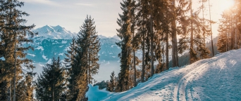 Ski vacation in Aspen Resort